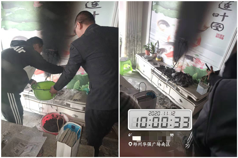 胜天国际官方网站图片